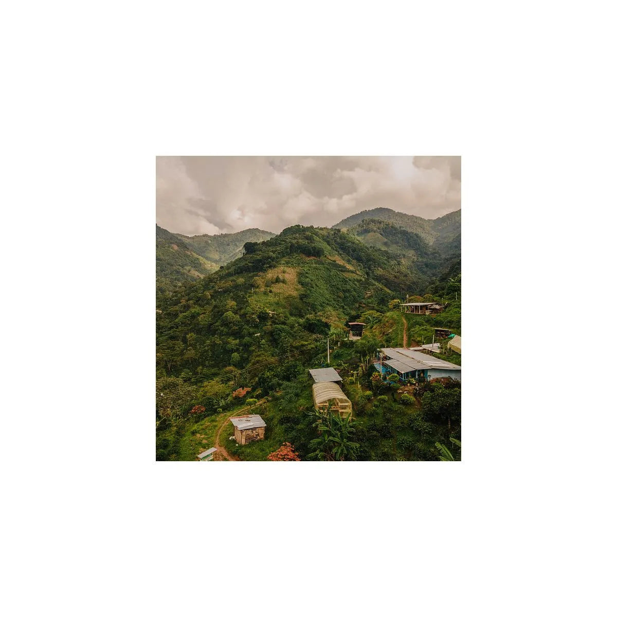 Colombia Gaitania Medium Roast (Suitable for Espresso)