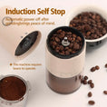 Load image into Gallery viewer, Electric Coffee Grinder with dial