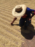 Load image into Gallery viewer, Colombia Flor Del Desierto Light/Medium 150g