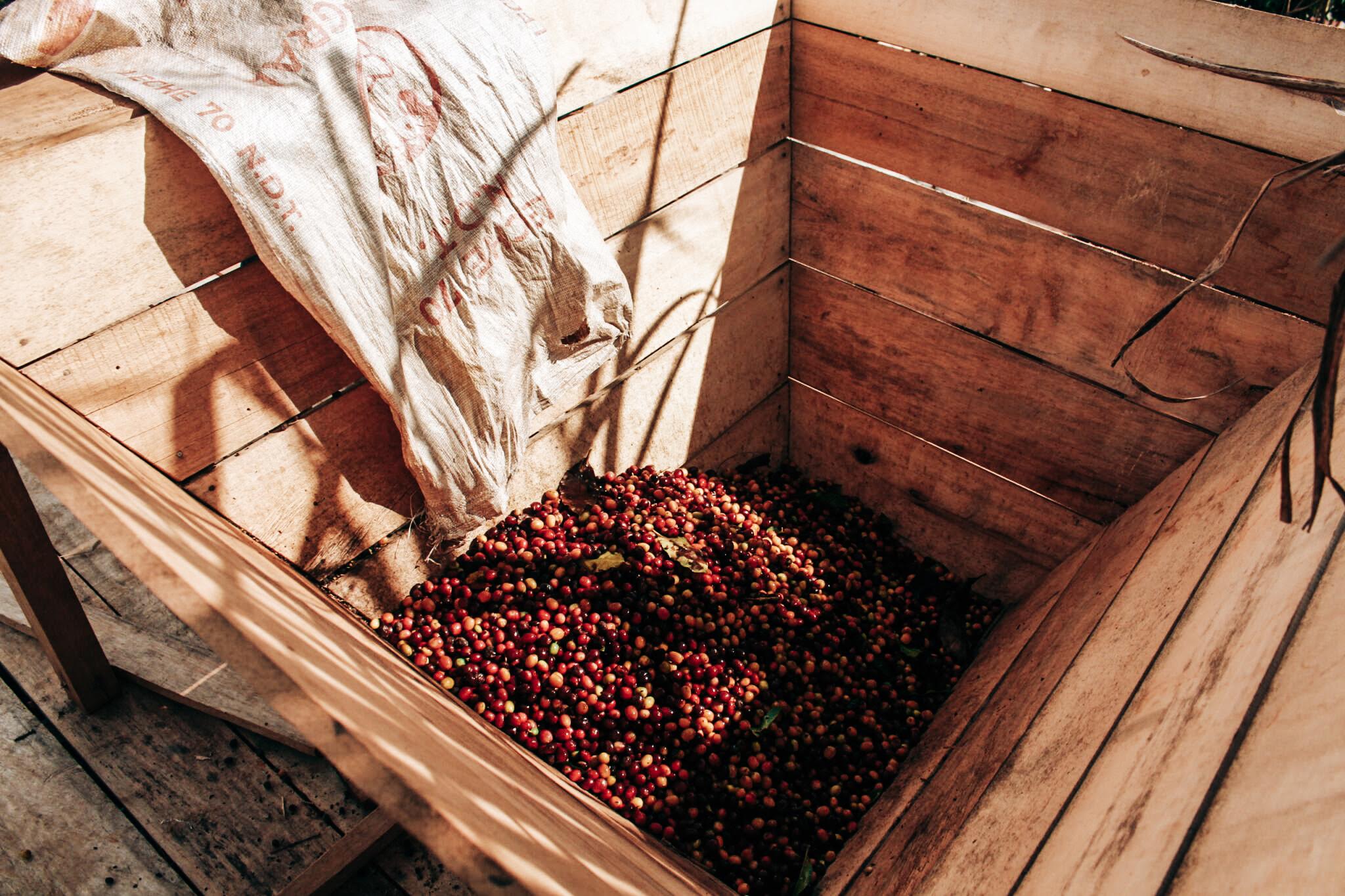 Colombia El Jaragual Castillo Thermal Shock 200g