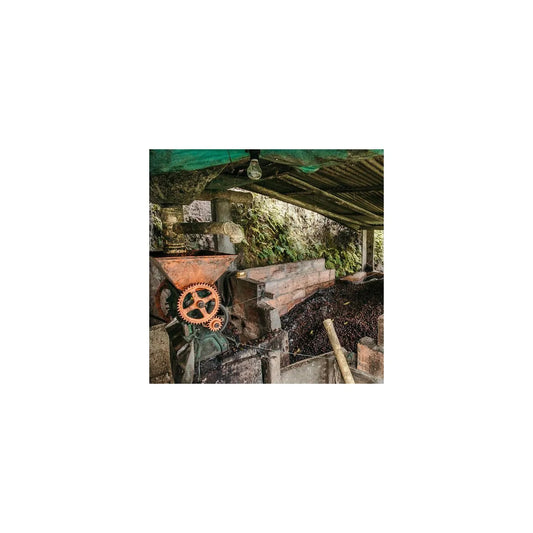 Colombia Gaitania Medium Roast (Suitable for Espresso)