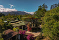 Load image into Gallery viewer, Panama Geisha Hacienda La Esmeralda (Private Collection) 80g
