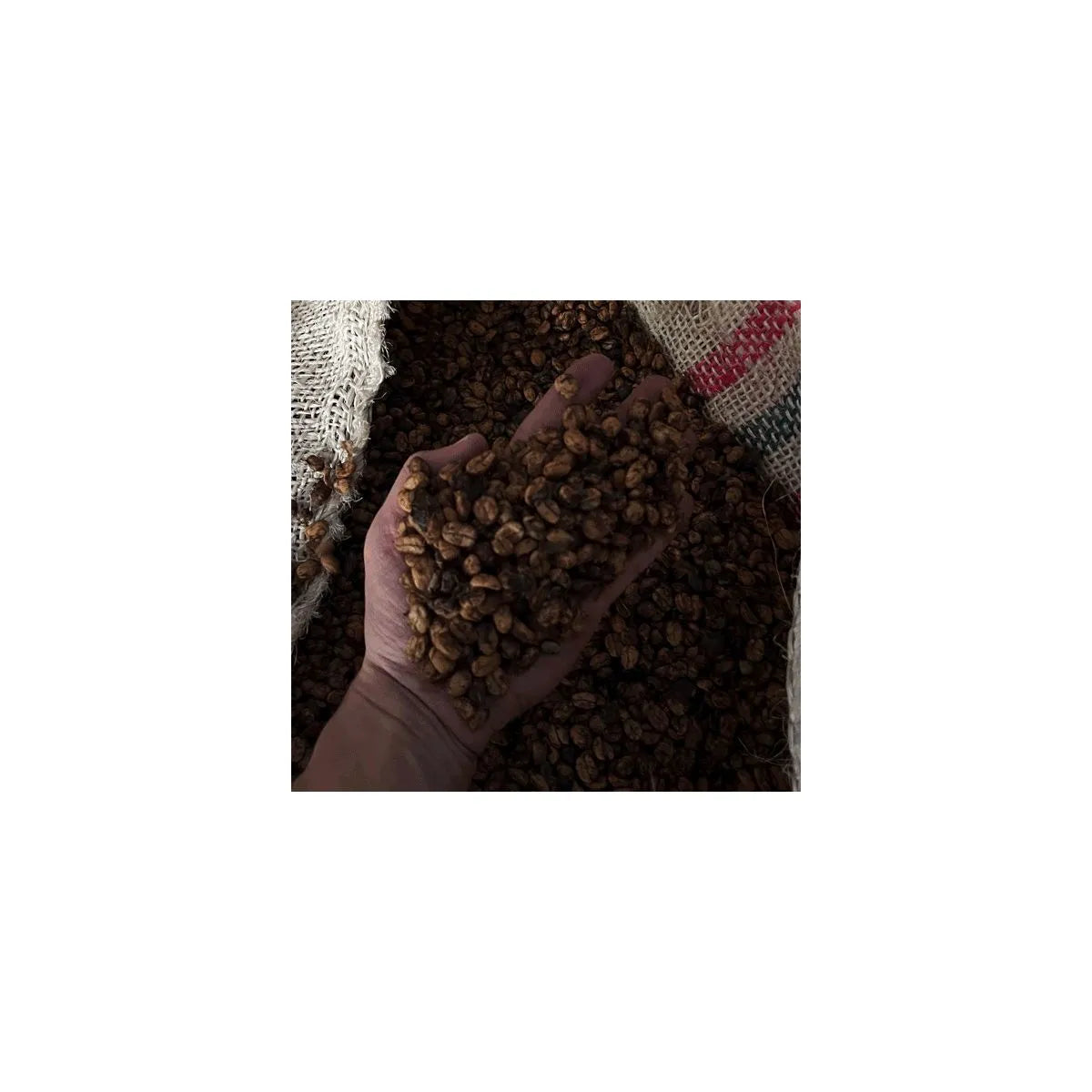 Colombia Finca La Luisa Kiwi Fermentation, Honey Process - Anaerobic