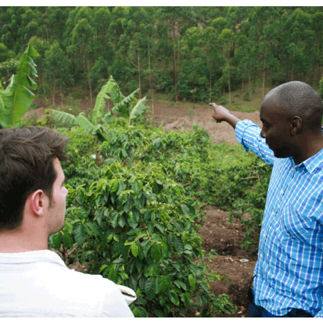 Uganda Gorilla Summit 'Blue Roller' Honey Light/Medium Roast